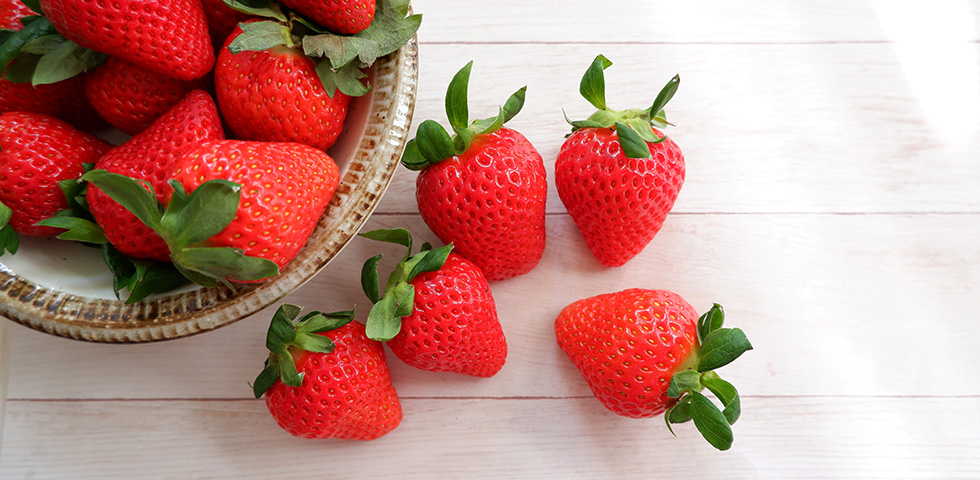 2022年11月26日（土）直売所オープン！